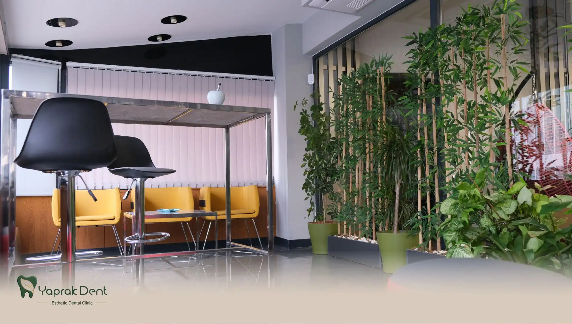 Yaprak Dent waiting lounge